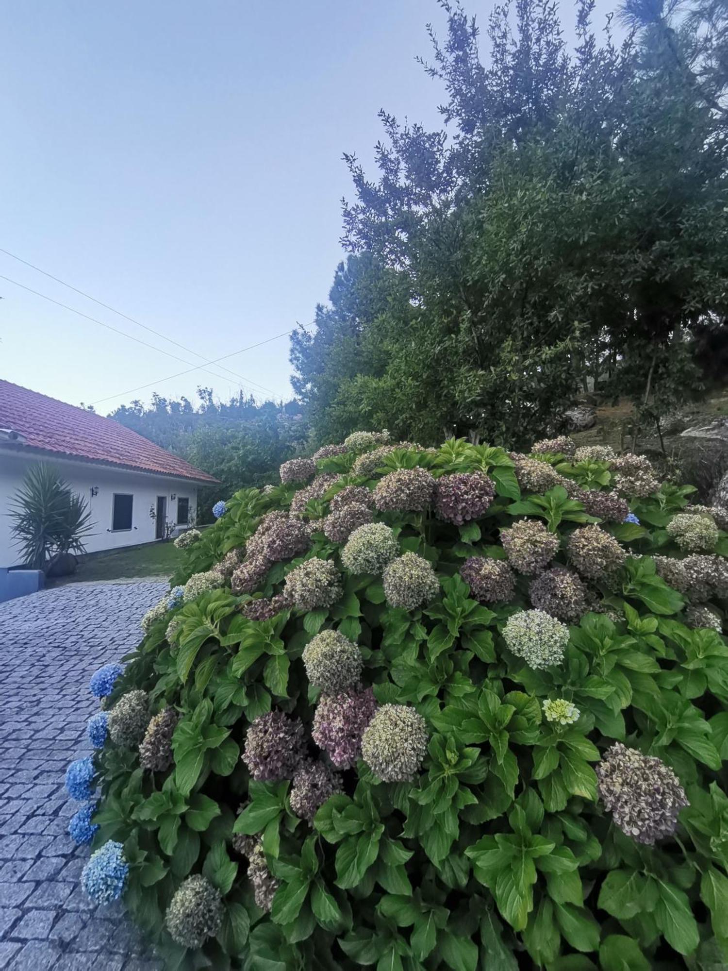 Quinta Souto Da Ordem - House Villa Castelo Novo Eksteriør bilde